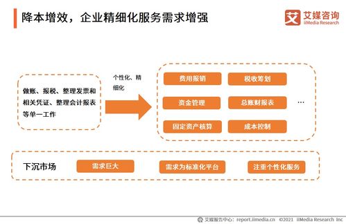 2021上半年中国财税类企业服务专题研究 信息咨询服务的变革与未来